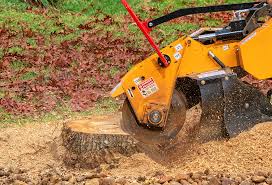 Best Aeration Services  in Richmond West, FL
