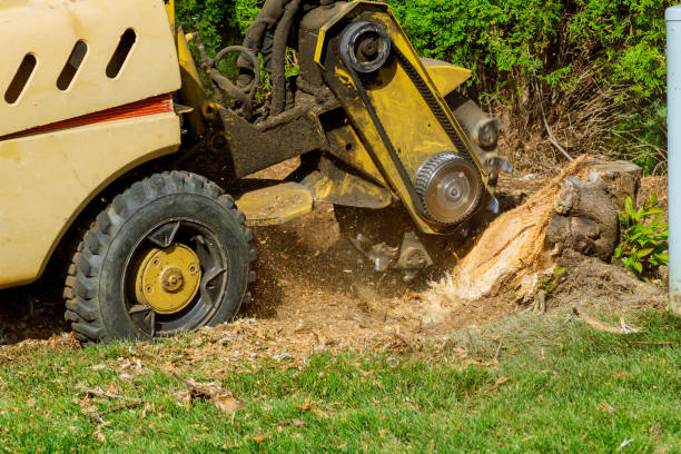 Best Lawn Pest Prevention  in Richmond West, FL