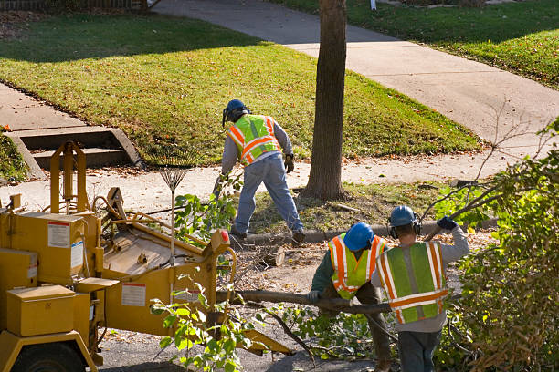 Best Tree Mulching  in Richmond West, FL